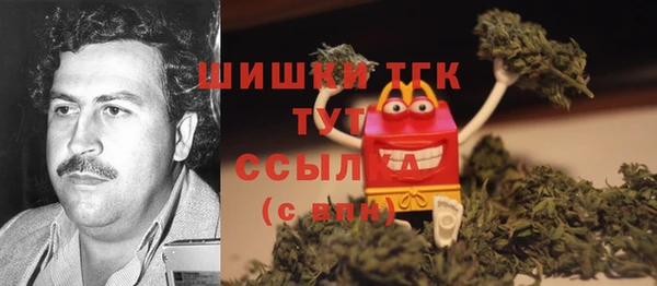 гидра Надым